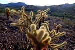 photo thumbnail #13