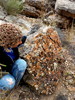 photo thumbnail #13