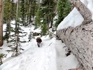 photo thumbnail #4