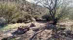 photo thumbnail #13
