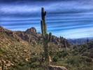photo thumbnail #8