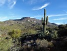 photo thumbnail #3