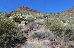 photo thumbnail #8