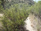 photo thumbnail #1