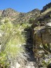 photo thumbnail #7