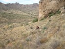 photo thumbnail #2