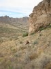 photo thumbnail #3