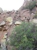 photo thumbnail #12