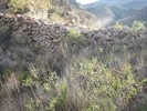 photo thumbnail #14