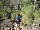 photo thumbnail #7