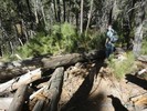 photo thumbnail #8