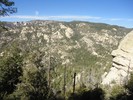 photo thumbnail #10