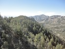 photo thumbnail #13