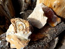 photo thumbnail #2