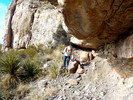 photo thumbnail #6