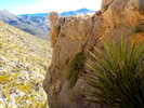 photo thumbnail #8