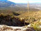 photo thumbnail #13