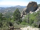 photo thumbnail #3