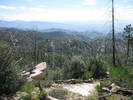 photo thumbnail #5