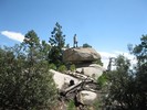 photo thumbnail #9
