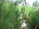 photo thumbnail #11