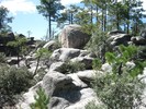 photo thumbnail #12