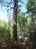 photo thumbnail #14