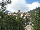 photo thumbnail #15