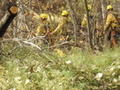 photo thumbnail #8
