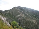 photo thumbnail #11