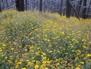 photo thumbnail #14