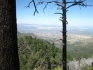 photo thumbnail #4