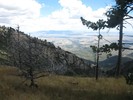 photo thumbnail #9