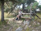 photo thumbnail #10