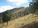 photo thumbnail #11