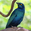 photo thumbnail #5