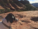 photo thumbnail #8