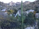 photo thumbnail #2