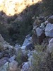 photo thumbnail #7