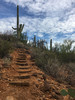photo thumbnail #9