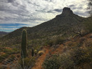 photo thumbnail #4