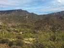 photo thumbnail #8