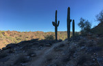photo thumbnail #5