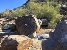 photo thumbnail #1