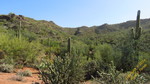 photo thumbnail #7