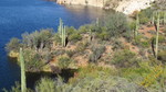 photo thumbnail #8