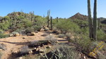 photo thumbnail #12