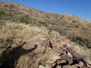 photo thumbnail #2