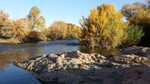 photo thumbnail #14