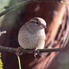 photo thumbnail #14